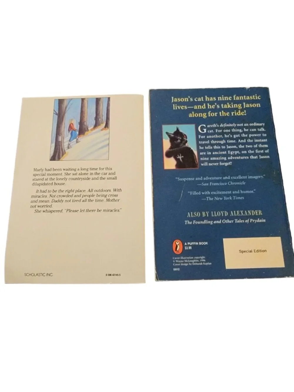 Award Winners Chapter Book Lot Children Kid Learning Read Teacher School Library